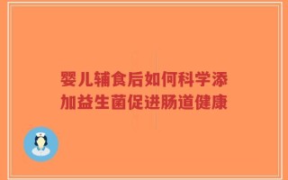 婴儿辅食后如何科学添加益生菌促进肠道健康
