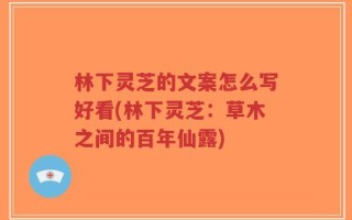 林下灵芝的文案怎么写好看(林下灵芝：草木之间的百年仙露)