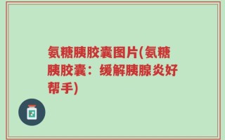 氨糖胰胶囊图片(氨糖胰胶囊：缓解胰腺炎好帮手)