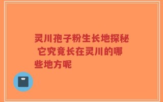 灵川孢子粉生长地探秘 它究竟长在灵川的哪些地方呢