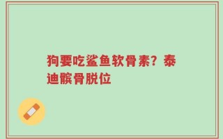 狗要吃鲨鱼软骨素？泰迪髌骨脱位