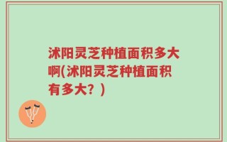 沭阳灵芝种植面积多大啊(沭阳灵芝种植面积有多大？)