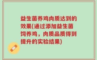 益生菌养鸡肉质达到的效果(通过添加益生菌饲养鸡，肉质品质得到提升的实验结果)