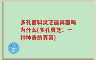 多孔菌科灵芝属真菌吗为什么(多孔灵芝：一种神奇的真菌)