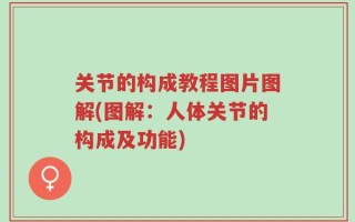 关节的构成教程图片图解(图解：人体关节的构成及功能)