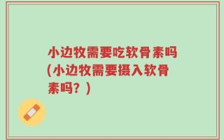 小边牧需要吃软骨素吗(小边牧需要摄入软骨素吗？)