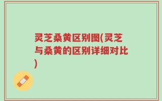 灵芝桑黄区别图(灵芝与桑黄的区别详细对比)