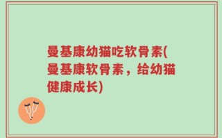 曼基康幼猫吃软骨素(曼基康软骨素，给幼猫健康成长)