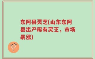 东阿县灵芝(山东东阿县出产稀有灵芝，市场暴涨)