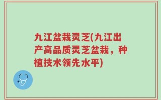 九江盆栽灵芝(九江出产高品质灵芝盆栽，种植技术领先水平)