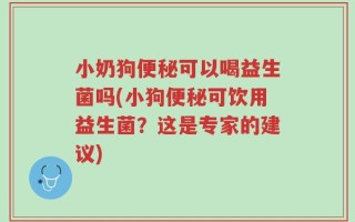 小奶狗便秘可以喝益生菌吗(小狗便秘可饮用益生菌？这是专家的建议)