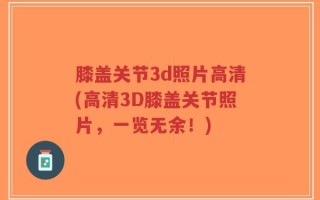 膝盖关节3d照片高清(高清3D膝盖关节照片，一览无余！)