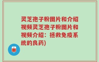 灵芝孢子粉图片和介绍视频灵芝孢子粉图片和视频介绍：拯救免疫系统的良药)