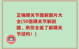 正确踝关节图解图片大全(50张踝关节解剖图，助你全面了解踝关节结构！)