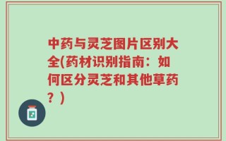 中药与灵芝图片区别大全(药材识别指南：如何区分灵芝和其他草药？)
