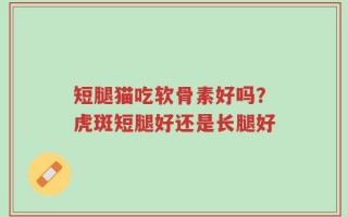 短腿猫吃软骨素好吗？虎斑短腿好还是长腿好