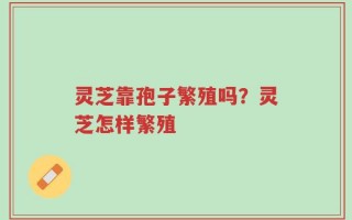 灵芝靠孢子繁殖吗？灵芝怎样繁殖