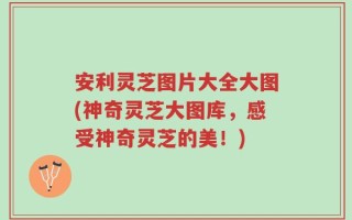 安利灵芝图片大全大图(神奇灵芝大图库，感受神奇灵芝的美！)