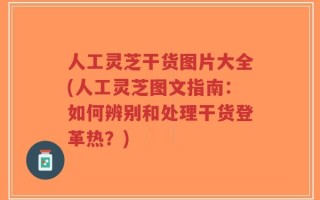 人工灵芝干货图片大全(人工灵芝图文指南：如何辨别和处理干货登革热？)