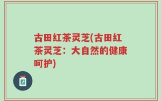 古田红茶灵芝(古田红茶灵芝：大自然的健康呵护)