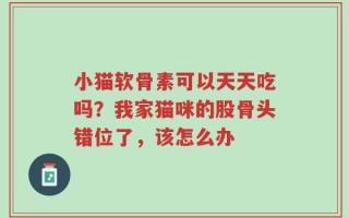 小猫软骨素可以天天吃吗？我家猫咪的股骨头错位了，该怎么办