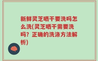 新鲜灵芝晒干要洗吗怎么洗(灵芝晒干需要洗吗？正确的洗涤方法解析)