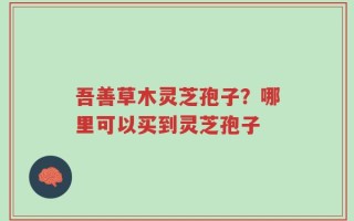 吾善草木灵芝孢子？哪里可以买到灵芝孢子