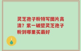 灵芝孢子粉特写图片高清？紫一破壁灵芝孢子粉到哪里买最好