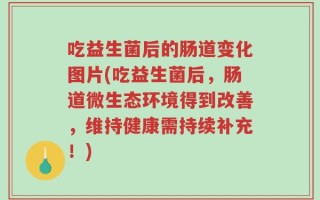 吃益生菌后的肠道变化图片(吃益生菌后，肠道微生态环境得到改善，维持健康需持续补充！)