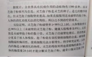 灵芝孢子粉对肺癌有效吗？能起到什么作用？