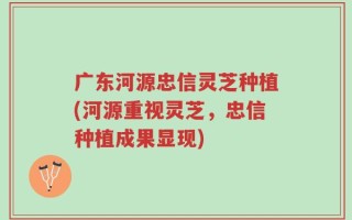 广东河源忠信灵芝种植(河源重视灵芝，忠信种植成果显现)
