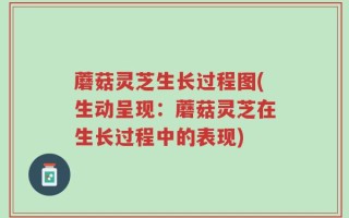 蘑菇灵芝生长过程图(生动呈现：蘑菇灵芝在生长过程中的表现)
