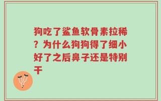 狗吃了鲨鱼软骨素拉稀？为什么狗狗得了细小好了之后鼻子还是特别干