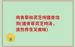 鸡骨草和灵芝炖猪骨功效(猪骨草灵芝炖汤，清热养生又美味)