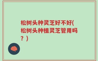松树头种灵芝好不好(松树头种植灵芝管用吗？)
