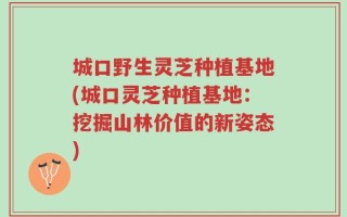 城口野生灵芝种植基地(城口灵芝种植基地：挖掘山林价值的新姿态)