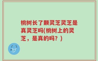 桃树长了颗灵芝灵芝是真灵芝吗(桃树上的灵芝，是真的吗？)