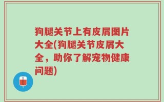 狗腿关节上有皮屑图片大全(狗腿关节皮屑大全，助你了解宠物健康问题)