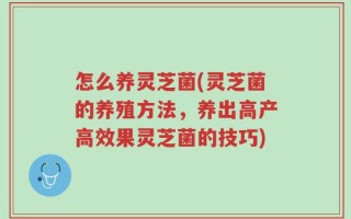 怎么养灵芝菌(灵芝菌的养殖方法，养出高产高效果灵芝菌的技巧)
