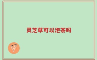 灵芝草可以泡茶吗