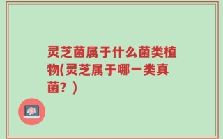 灵芝菌属于什么菌类植物(灵芝属于哪一类真菌？)