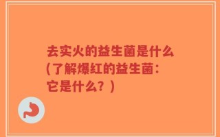 去实火的益生菌是什么(了解爆红的益生菌：它是什么？)