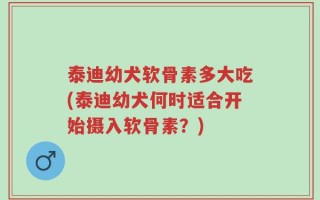 泰迪幼犬软骨素多大吃(泰迪幼犬何时适合开始摄入软骨素？)