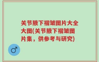 关节腋下褶皱图片大全大图(关节腋下褶皱图片集，供参考与研究)