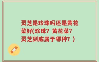 灵芝是珍珠吗还是黄花菜好(珍珠？黄花菜？灵芝到底属于哪种？)