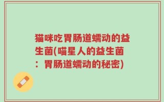 猫咪吃胃肠道蠕动的益生菌(喵星人的益生菌：胃肠道蠕动的秘密)