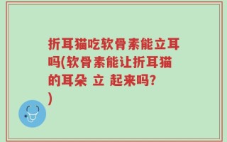 折耳猫吃软骨素能立耳吗(软骨素能让折耳猫的耳朵 立 起来吗？)