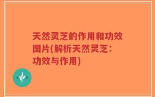 天然灵芝的作用和功效图片(解析天然灵芝：功效与作用)