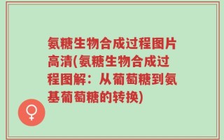 氨糖生物合成过程图片高清(氨糖生物合成过程图解：从葡萄糖到氨基葡萄糖的转换)