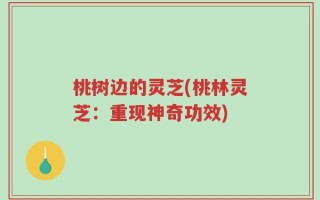 桃树边的灵芝(桃林灵芝：重现神奇功效)